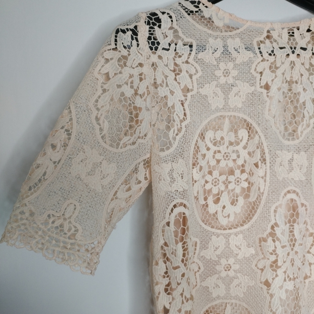 Zara Nude Pink Lace Dress - Picture 8 of 14